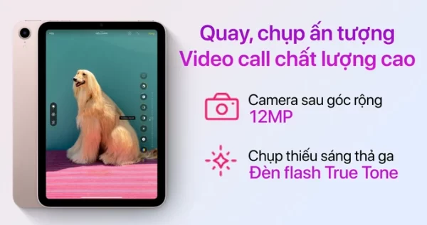 ipad_mini_6_wifi_64gb_-_6